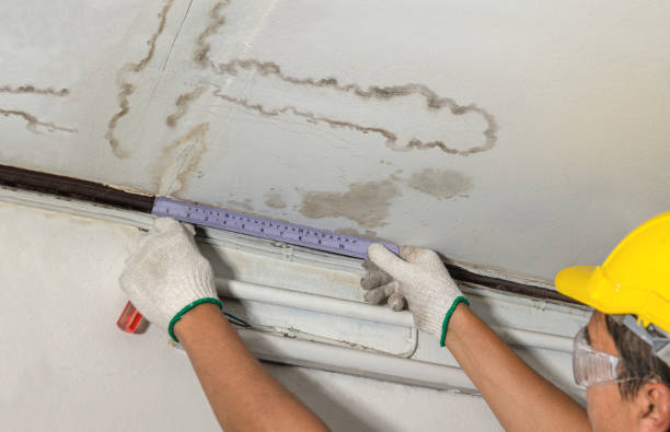 Reliable Water Damage contractor in Springfield, ME by Water Damage Irwin